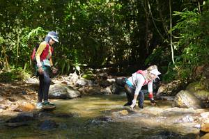 BIB: 
                            <button type="button" onclick="openModal(21853559)" class="btn btn-primary btn-sm float-right btn-popup" data-toggle="modal" data-target=".modal-high-quality">
                        <i class="fas fa-shopping-cart"></i> Add to Cart
                    </button>
                                            <button type="button" onclick="isThisMe(21853559, true)" class="btn btn-success btn-sm float-right btn-popup btn-isme hidden" data-toggle="tooltip" data-placement="bottom" title="นี่คือรูปของคุณใช่ไหม คลิกที่นี่เพื่อเอาเข้าอัลบั้ม">
                        <i class="fas fa-plus"></i> Add to album
                    </button>
                    <button type="button" onclick="isThisMe(21853559, false)" class="btn btn-warning btn-sm float-right btn-popup btn-isnotme hidden">
                        <i class="fas fa-ban"></i> Remove from album
                    </button>